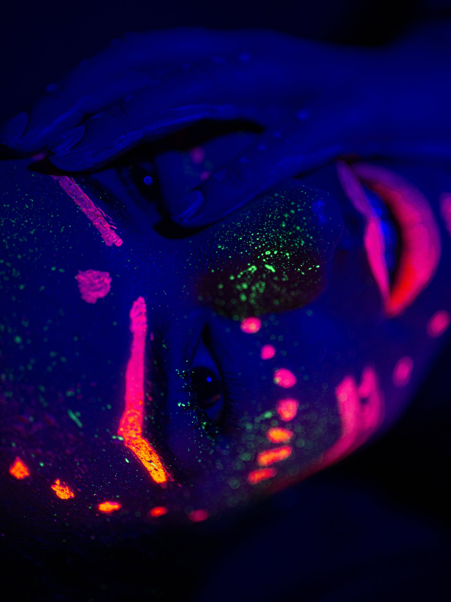 Neon Festival Face Paint 10ml image 8